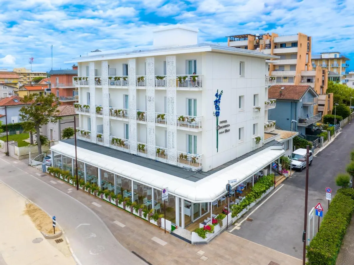 Hb Hotels Orchidea Blu Rimini